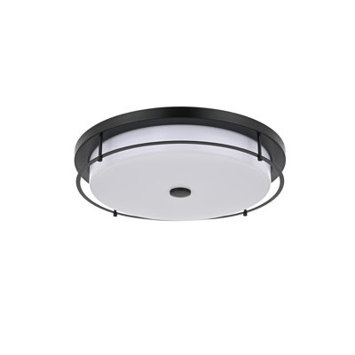 Ashok 20 inch LED Flush Mount