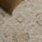 Whitney 712 Performance Oriental Rug-223012211