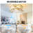 20'' Modern Caged Ceiling Fan with Glass Shades, Light Kit and Remote Control