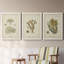 Écru corail I - ensemble de 3 peintures sur toile encadrées-548997408-548997439