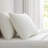 Martha Stewart Cotton Percale  Sheet Set-123293190-115629656