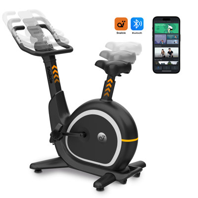 Chic Mode Snailcle S2 Smart Exercise Bike For Home – Silent Magnetic Resistance, Auto-adjust Seat & Handlebar,