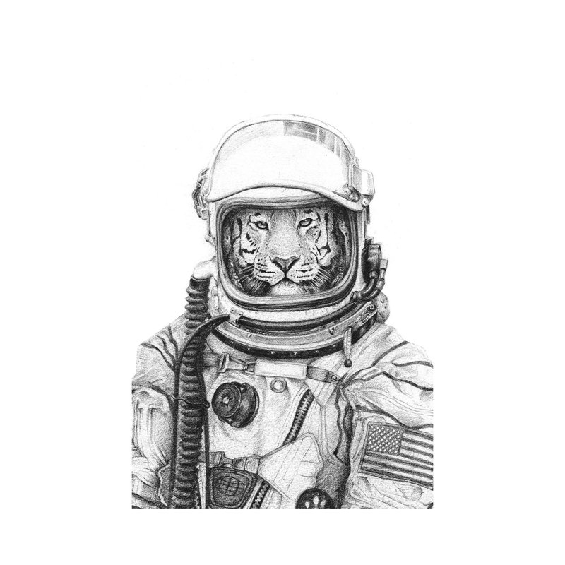 Apollo 18 by Mike Koubou - Wrapped Canvas Gallery-Wrapped Canvas Giclée, 20.32 cm H x 30.48 cm W