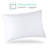 Gabrielle Down Alternative Medium Pillow-1622378139