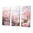 Toile tendue
