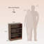 Bookcase-1837685008