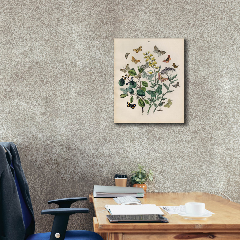 «Papillion - Butterflies» par Art Licensing Studio, art mural sur toile, H 24 po x l 20 po x P 0,75 po