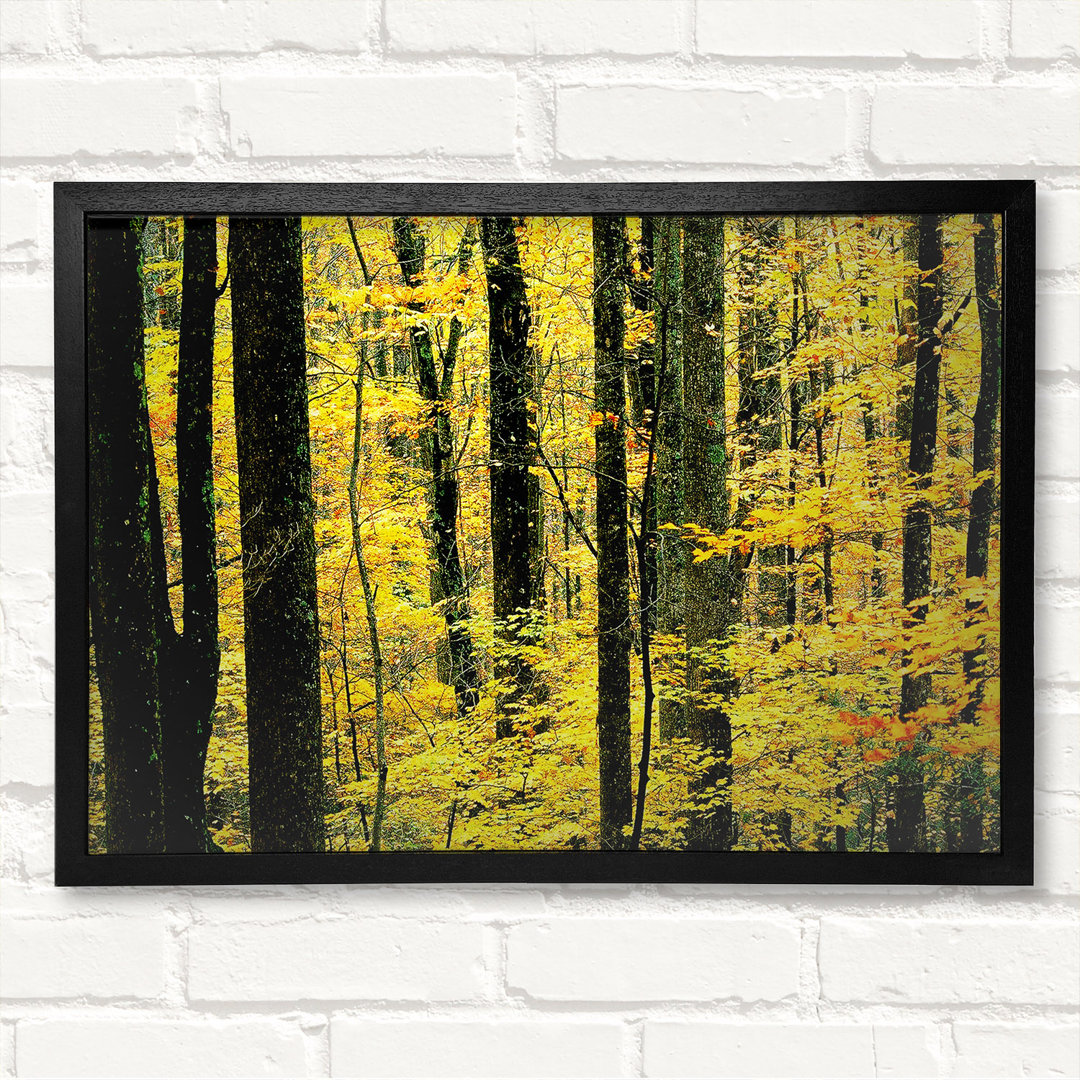 Yellow Woodland - Druck