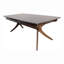 Table de salle à manger Rozella-117544828