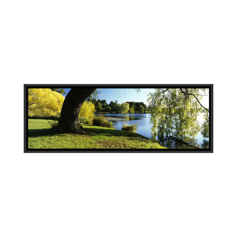 Reproduction de photo sur toile panoramique, "Willow Tree by a Lake, Green Lake, Seattle, Washington State"