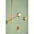 Luciel 6 Light Chandelier