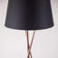 Casden 154cm Tripod Floor Lamp Set-289197293-289197288