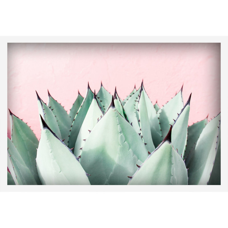 Abdirazaq Sweet Succulents - impression sur papier, H 12 po x l 18 po x p 1,5 po, Cadre flottant blanc