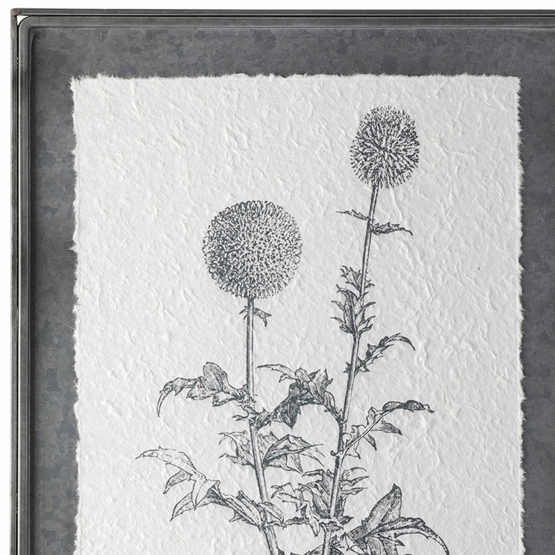 Ensemble de 2 peintures encadrées sur métal