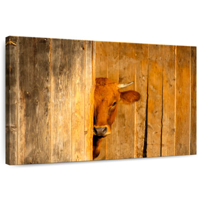 Murnau-Werdenfels Cow