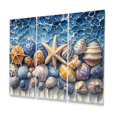 Coastal Seashells In Blue And White Tones I - Seashells Wall Art Set