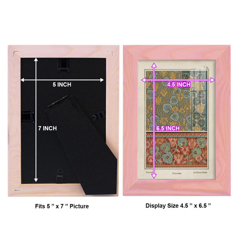 Nouveau Decorative I, reproduction d'art encadrée, H 8 po x l 6 po x P 1 po, Rose
