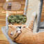 444.5cm H Cat Tree-244660777