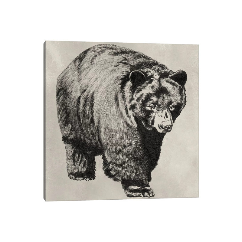 Pen & Ink Bear I by Naomi McCavitt - Wrapped Canvas Gallery-Wrapped Canvas Giclée, 30.48 cm H x 30.48 cm W