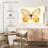 Butterfly Memento-107959698