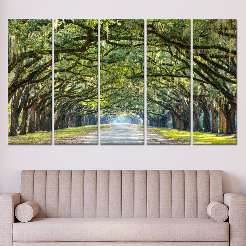 «Savannah Oak Trees», impression sur toile: Forêt élégante, art sur toile tendue 5P, H: 59,1 po x l: 98,4 po
