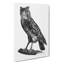Egyptian Owl Illustration - Wrapped Canvas-55373004