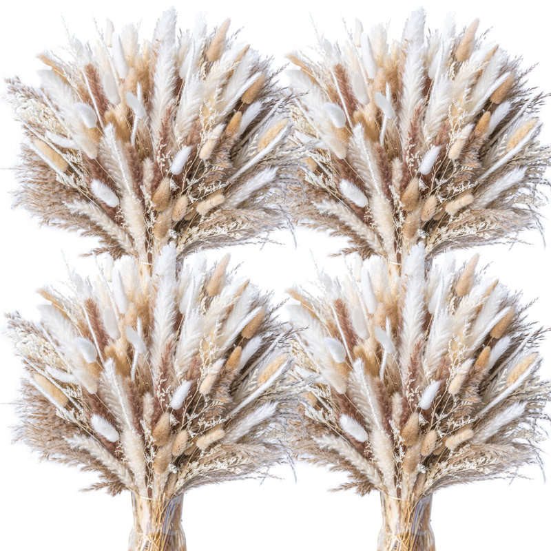 Bouquet de 440 herbes de la pampa séchées naturelles - Décoration bohème - Fleurs séchées de phragmites | Composition florale pour mariage