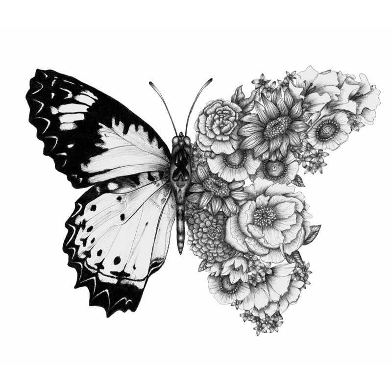 Wrapped Canvas Print, 60.96 cm H x 91.44 cm W