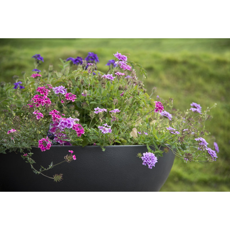 Jodelle Fibreglass Planter, Medium