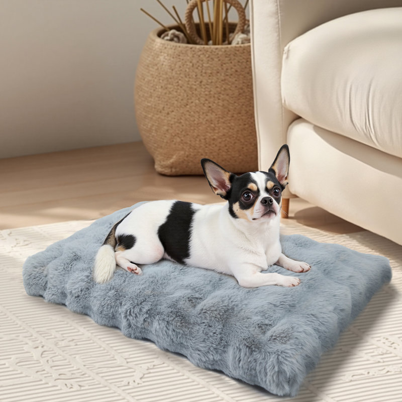 Dog Bed, 10cm H x 76cm W x 51cm D, Grey