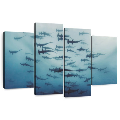 Frisson de requins marteaux