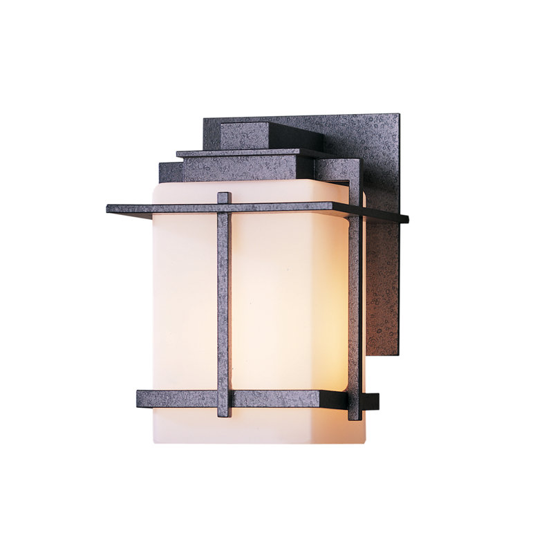 Tourou 7.4" H Outdoor Armed Sconce, Natural lron