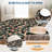 Rugs for Living Room Thin Non-Slip Floral Area Rug Modern Rugs Washable Carpet Mark Resistant,Soft Throw Mat for Bedroom,Dining Room,Office-818737000-818736997
