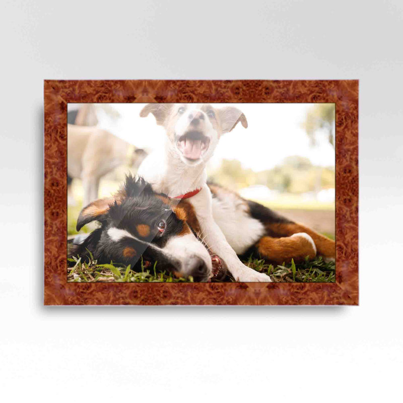 Cadre photo en bois massif Emmajane, L 18 po x H 22 po