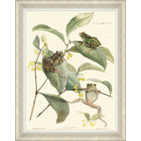 Tree Frogs Print
