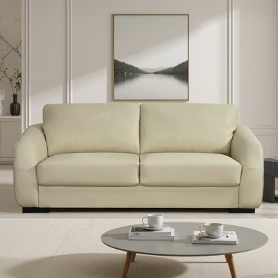 Aleyha Compact Leather Sofa