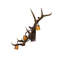 Applique murale encastrée 3 lumières Antler Elk