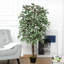 Charleston 160cm Faux Ficus Tree in Pot