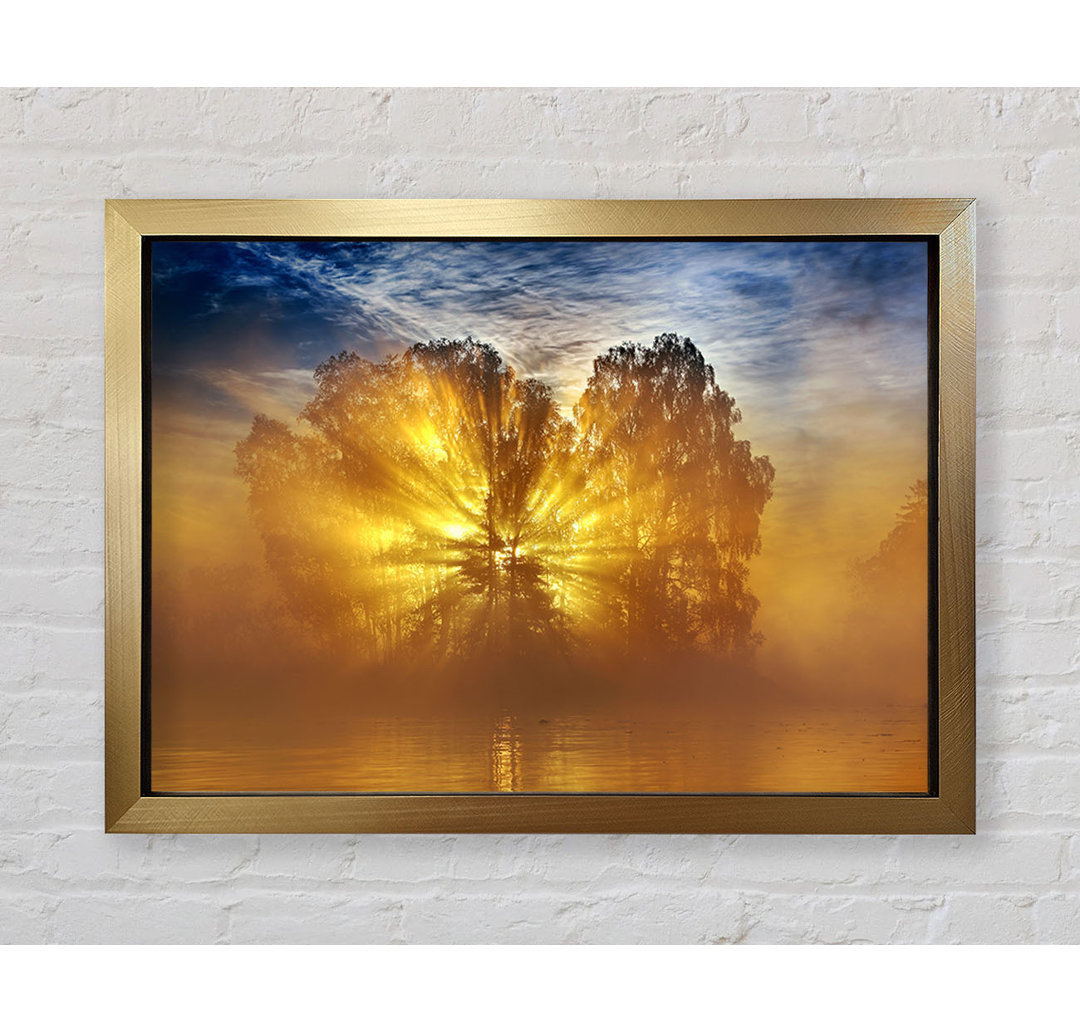 Golden Sunburst Tree - Einzelner Bilderrahmen Kunstdrucke