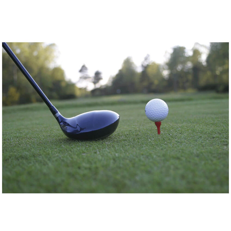 Affiche brillante "Early Morning Round", H 24 po x l 36 po x P 0,1 po
