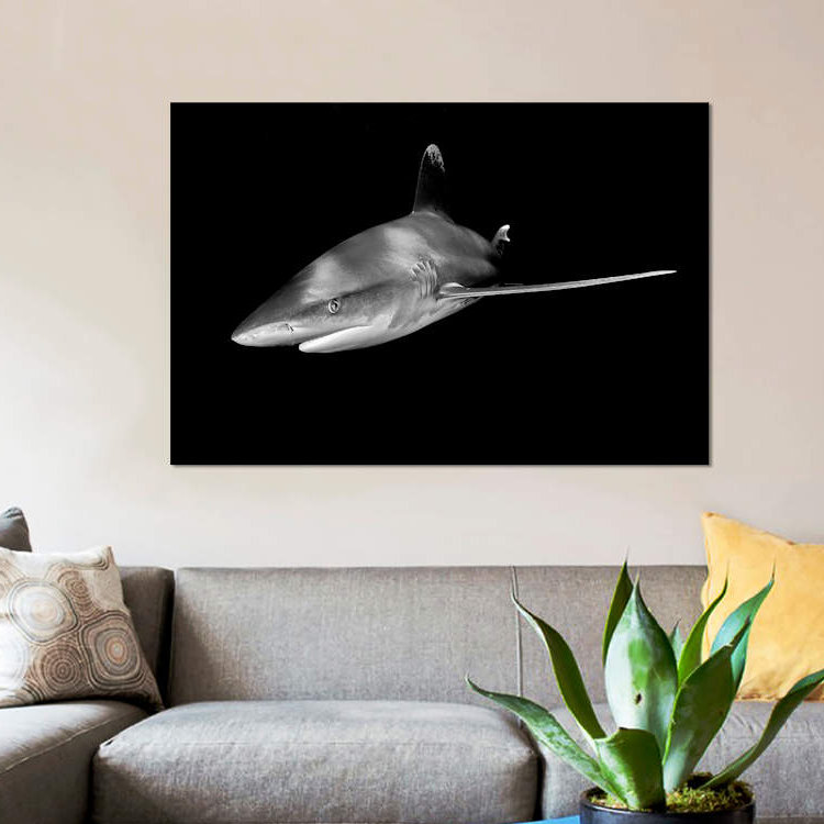 « à l’intérieur d’une école de jack fish the cabo pulmo mexico », reproduction d’impression sur toile, Toile tendue