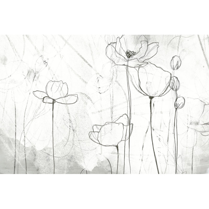 Poppy Sketches II, H 32 po x l 48 po x P 1,25 po