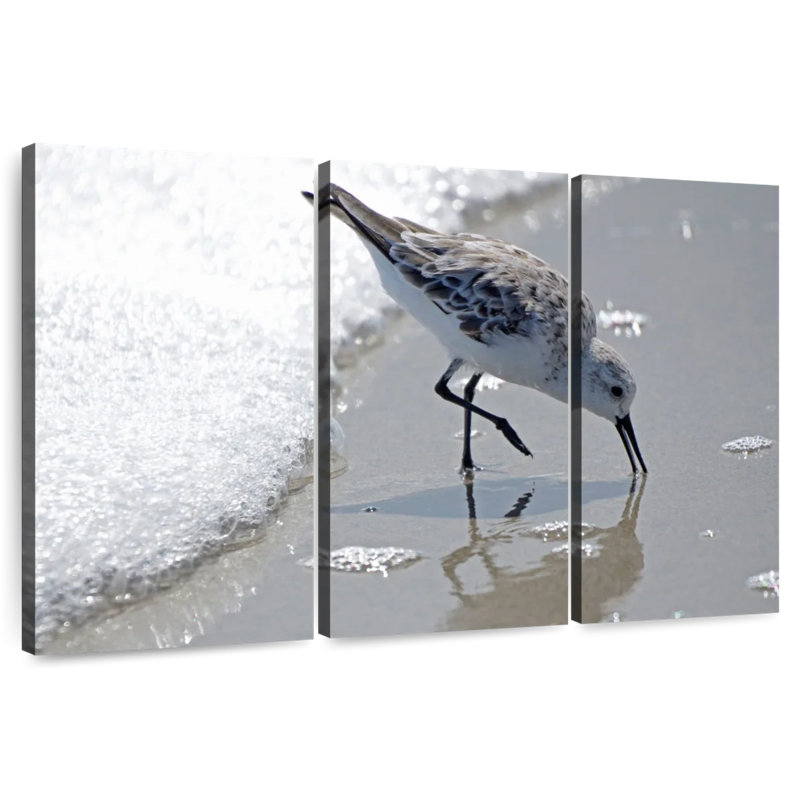 Brampt Sandpiper II, 48" H x 74" W