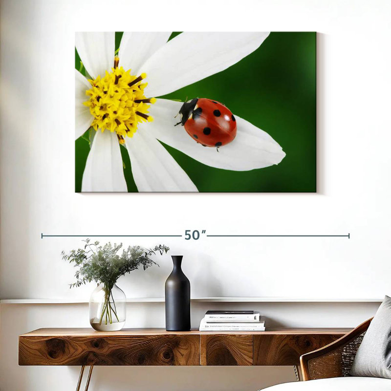 Ladybug On White Flower