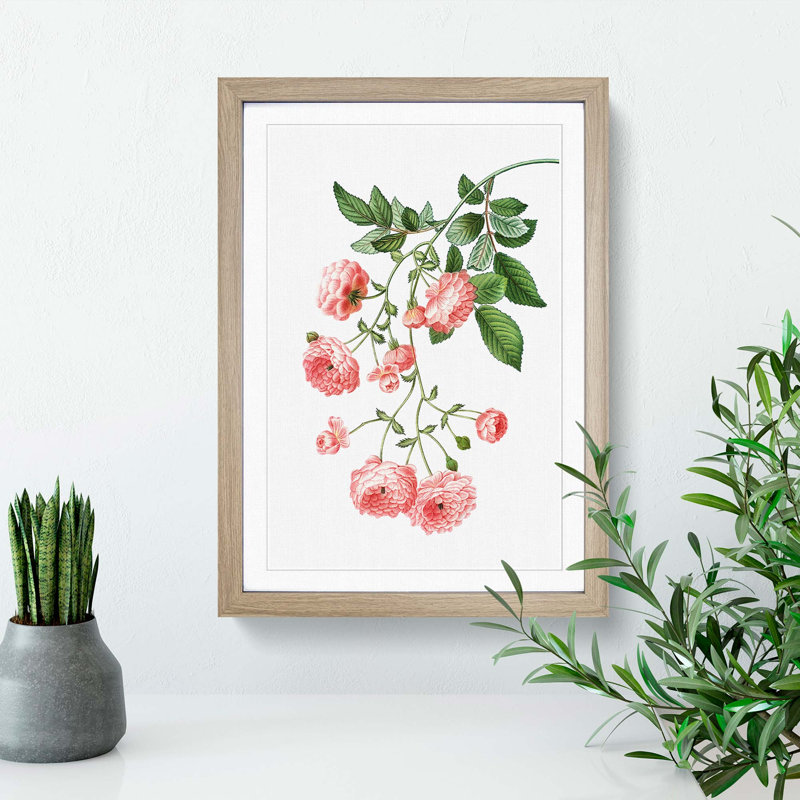 Rambler Roses by Pierre-Joseph Redoute - Picture Frame Painting Print, Oak Framed, 36cm H x 27cm W x 2cm D