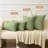 Pack Of 2 Couch Throw Pillow Covers Spring Soft  Chenille Pillow Covers For Sofa Living Room Solid Dyed Pillow Cases