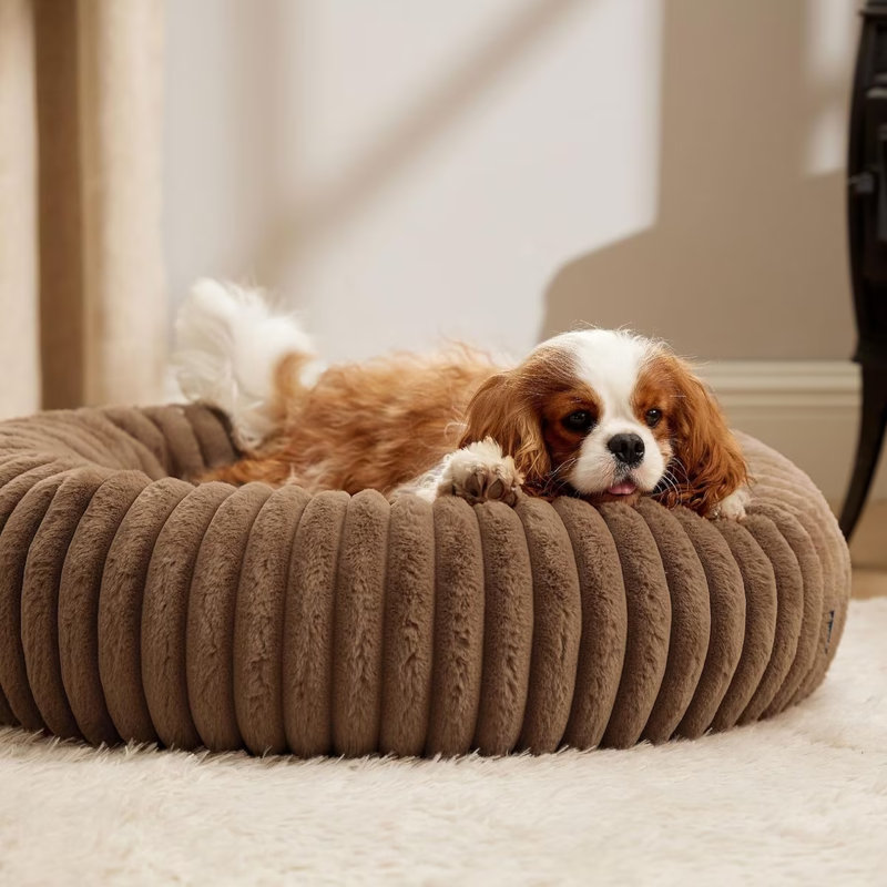 Lit pour chien Bedsut Donut, M (H 8 po x l 30 po x P 30 po), Brun