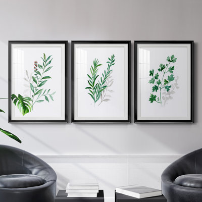 Freshly Picked I - Ensemble de 3 reproductions de cadres photo