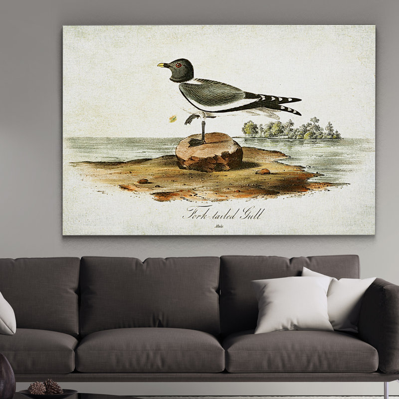« volière drawing vi », impression, Pas de tapis, Toile tendue, H 18 po x l 27 po x P 1,5 po