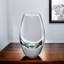 Radiant Vase-538380889